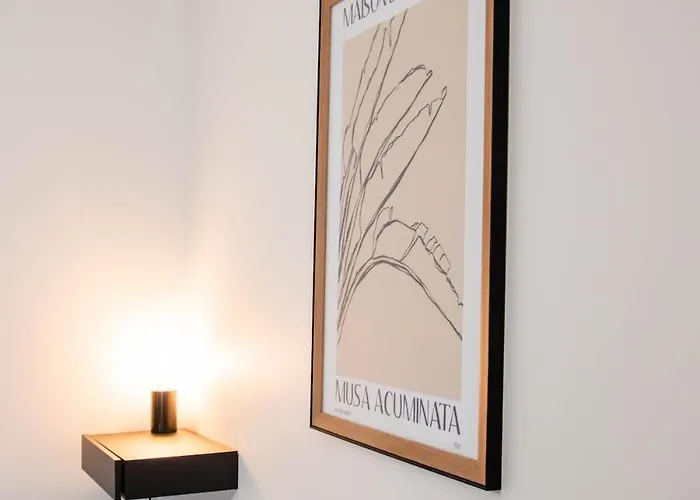 Apartment Cosy Au Coeur D'angers Calme Et Angers